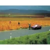 Busch 6034 HO 1 Meter x 66mm Unmarked Asphalt Roadway Strip - Your Source for Gaming Essentials