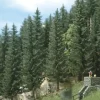 Busch 6132 HO 2-13/16" Spruce Trees (Pack of 2) - Your Source for Gaming Essentials