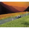 Busch 6033 White Dash Country Road 1m Asphalt Roadway - Your Source for Gaming Essentials