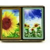 Cards>Congress Sunflowers Jumbo Index Bridge Playing Cards - 2 Deck Set - Your Source for Gaming Essentials