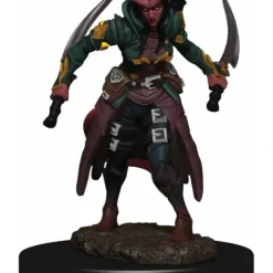 Tabletop Miniatures>D&D Icons of the Realms Premium Figure, Painted Miniature: (W6) Tiefling Rogue Female - Your Source for Gaming Essentials
