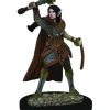 Tabletop Miniatures>D&D Icons of the Realms Premium Figure, Painted Miniature: Elf Female Cleric - Your Source for Gaming Essentials