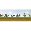JTT Scenery Products 95557 HO #1, 1/2" Assorted Flower Plants (Pack of 12) - Your Source for Gaming Essentials