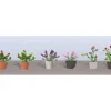 JTT Scenery Products 95565 HO 5/8" Assorted Potted Flower Plants #1 (Pack of 6) - Your Source for Gaming Essentials