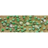 JTT Scenery Products 95573 HO 3/4" Cantaloupe Patch (Pack of 6) - Your Source for Gaming Essentials
