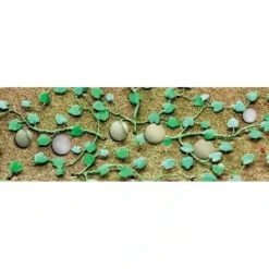 JTT Scenery Products 95573 HO 3/4" Cantaloupe Patch (Pack of 6) - Your Source for Gaming Essentials
