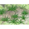 JTT Scenery Products 95533 HO 5/8'' Ferns (Pack of 12) - Your Source for Gaming Essentials