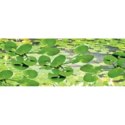 JTT Scenery Products 95538 O 1-1/2'' Lily Pads (Pack of 9) - Your Source for Gaming Essentials