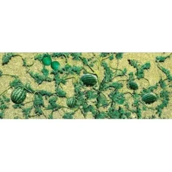 JTT Scenery Products 95576 O Watermelon Patch (Pack of 4) - Your Source for Gaming Essentials