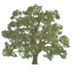JTT Scenery Products 94349 Z 2" Live Oak Tree (Set of 3) - Your Source for Gaming Essentials