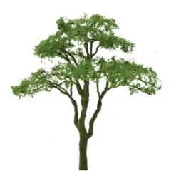 JTT Scenery Products 94439 Z 1" Professional Series Acacia Tree (Pack of 6) - Your Source for Gaming Essentials
