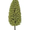 Life Like 1995 Pruned Trees 6" (Pack of 3) - Your Source for Gaming Essentials