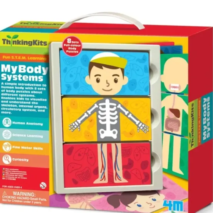 Toys>4M ThinkingKits STEM Learning Tool - My Body Anatomy Systems - Your Source for Gaming Essentials