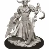 Tabletop Miniatures>Pathfinder Deep Cuts Unpainted Miniatures: (W12.5) Genie Efreeti - Your Source for Gaming Essentials