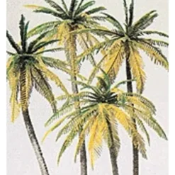 Preiser 18600 HO Palm Trees Plastic Model Kit (Set of 4) - Your Source for Gaming Essentials* Trains