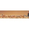 Preiser 65325 O Shepherd with Dog & Sheeps Figures (Set of 10) - Your Source for Gaming Essentials* Trains