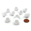 Dice>Set of 10 Opaque 12-Sided D12 White 19mm Blank Dice - Your Source for Gaming Essentials