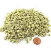 Dice>1000 Six Sided D6 5mm .197 Inch Die Small Tiny Mini Miniature Ivory Dice - Your Source for Gaming Essentials