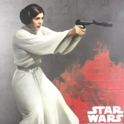 Dice>Star Wars Destiny: Princess Leia Dice Binder - Your Source for Gaming Essentials