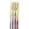 Tabletop Miniatures>The Army Painter Hobby Starter - Wargamers Most Wanted Brush Set - Your Source for Gaming Essentials