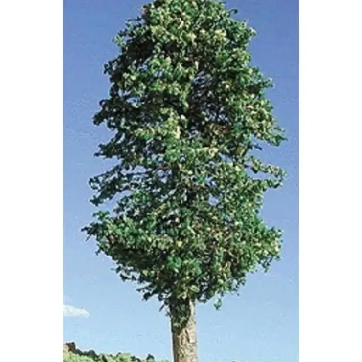 Timberline Scenery 225 2-4" Deciduous Lemon Trees (Pack of 3) - Your Source for Gaming Essentials* Trains