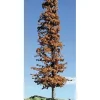 Timberline Scenery 117 Pine 2-4 DdWild Brown 3/ - Your Source for Gaming Essentials* Trains