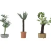 Walthers 949-1086 HO 3 Plants - Tropical Plants - Botanicals - Your Source for Gaming Essentials* Trains