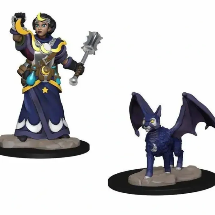 Tabletop Miniatures>WizKids Wardlings Painted Miniatures: (W1) Girl Cleric & Winged Cat - Your Source for Gaming Essentials